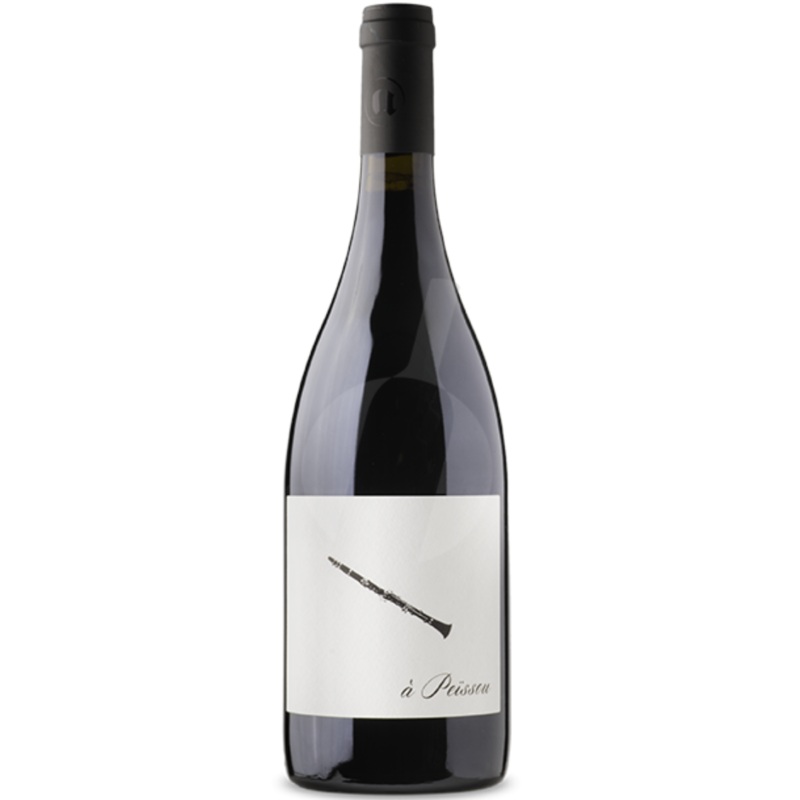 Domaine Des Amiel a Peissou