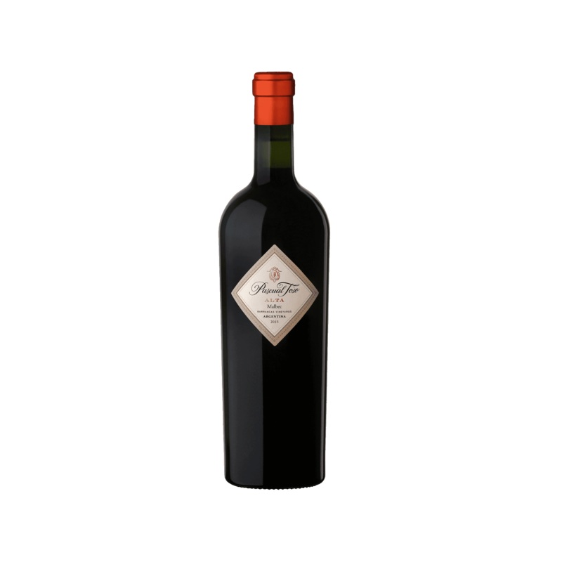 PASCUAL TOSO ALTA 2021 – Malbec – Barrancas, Mendoza – Argentina