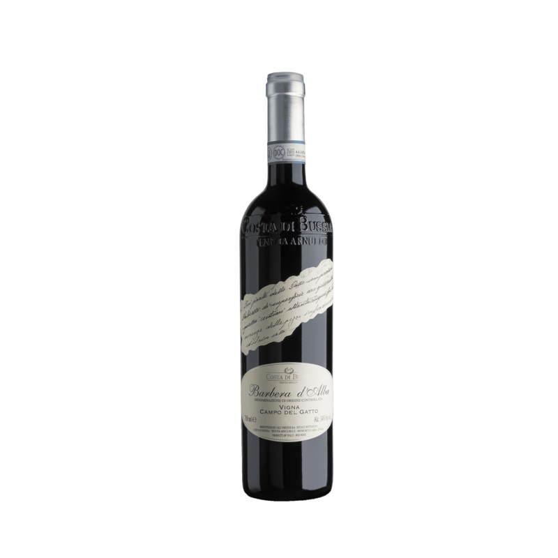 Costa Di Bussia Vigna Campo Del Gatto 2022 – Barbera D’Alba – Piedmont – Italy