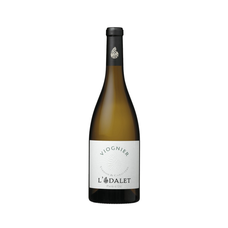 L’Odalet 2023 – Viognier – IGP Pays D’Oc – France