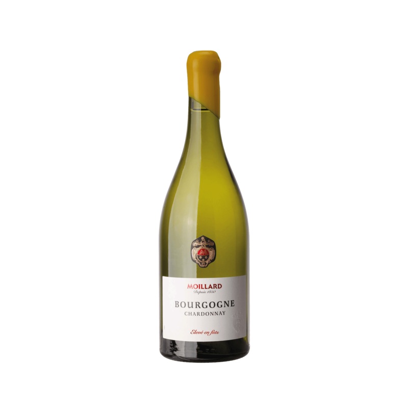 Moillard 2023 – Bourgogne Chardonnay 100% Fts – France