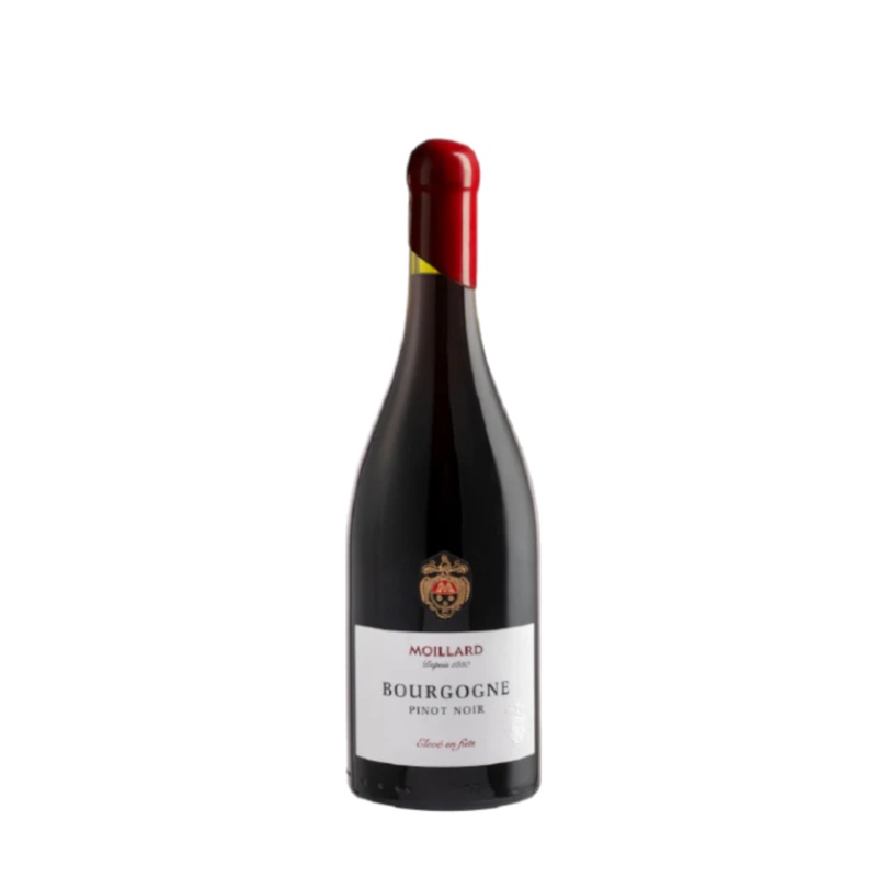 Moillard 2023 – Bourgogne Pinot Noir 100% Fts – France