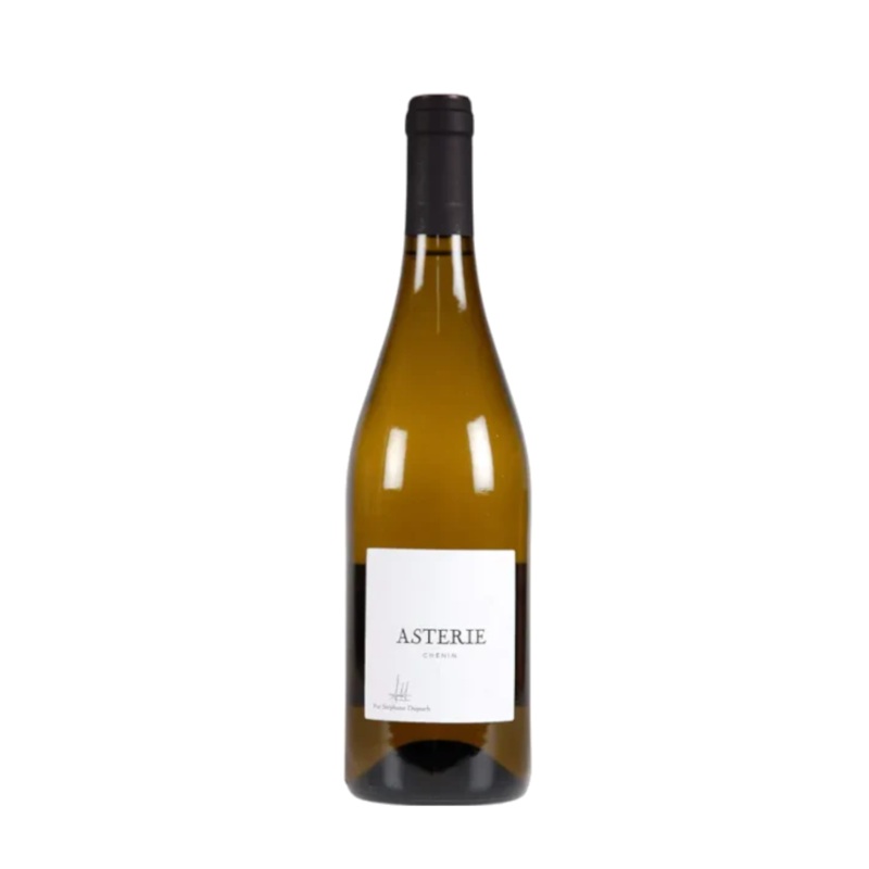 ASTRIE 2022 – Chenin Blanc – Vin de France