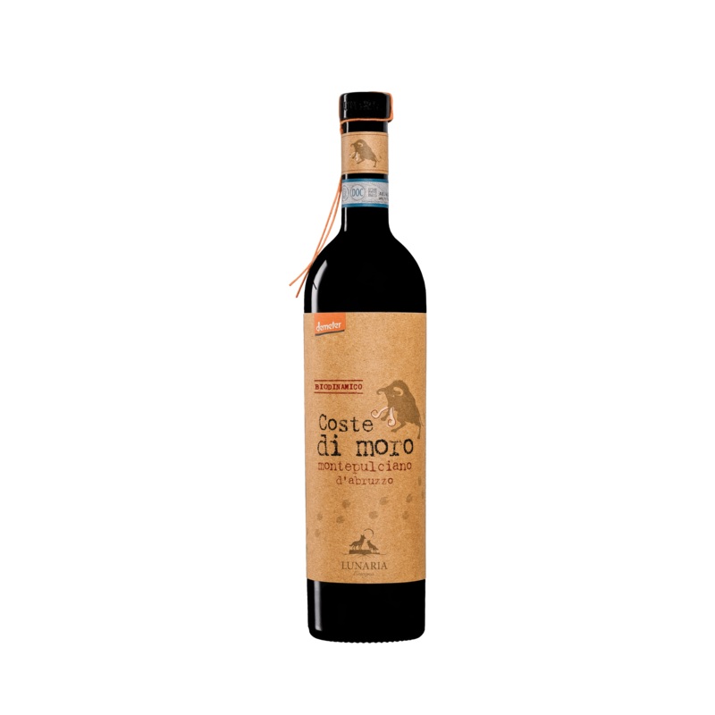 COSTE DI MORO 2019 – Montepulciano D’Abruzzo – Italy