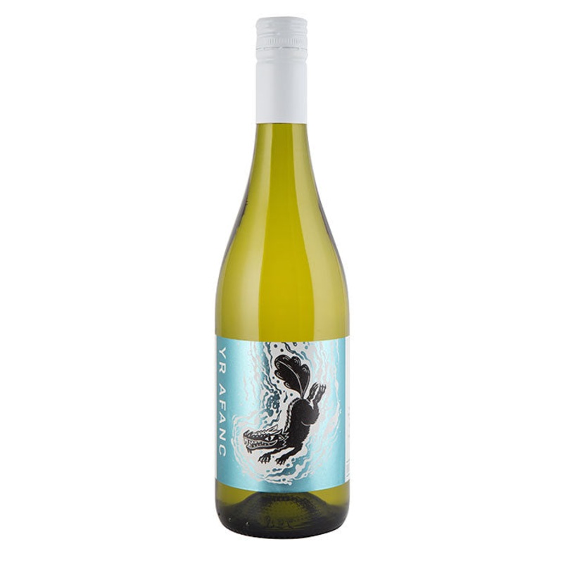 The Dell Vineyard Yr Afanc, Welsh Regional Wine 2023
