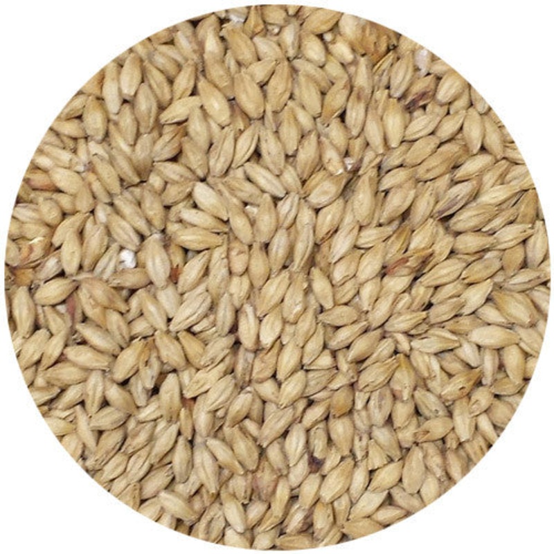 Avangard Munich Dark Malt 15L|Pound|Ounce