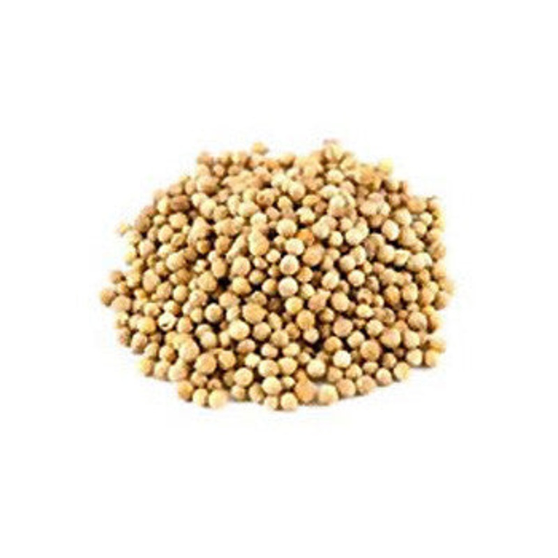 Coriander Seed (1 oz) – Brewer’s Best