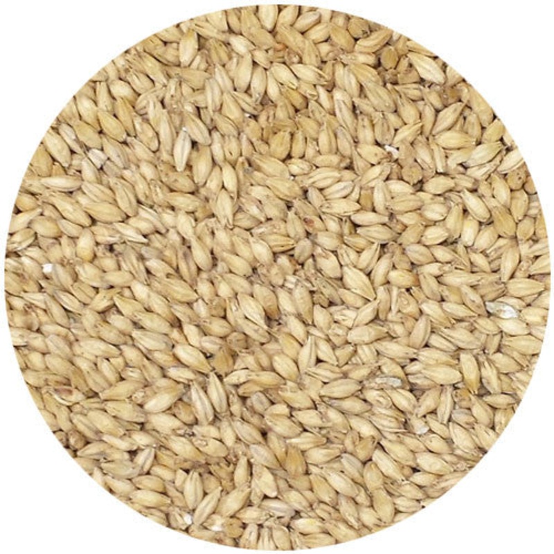 Avangard 2 Row Pale Malt 2.0L|Pound|Ounce