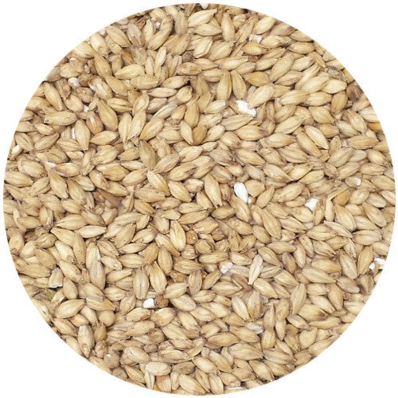 Avangard 6 Row Malt 2L|Pound|Ounce