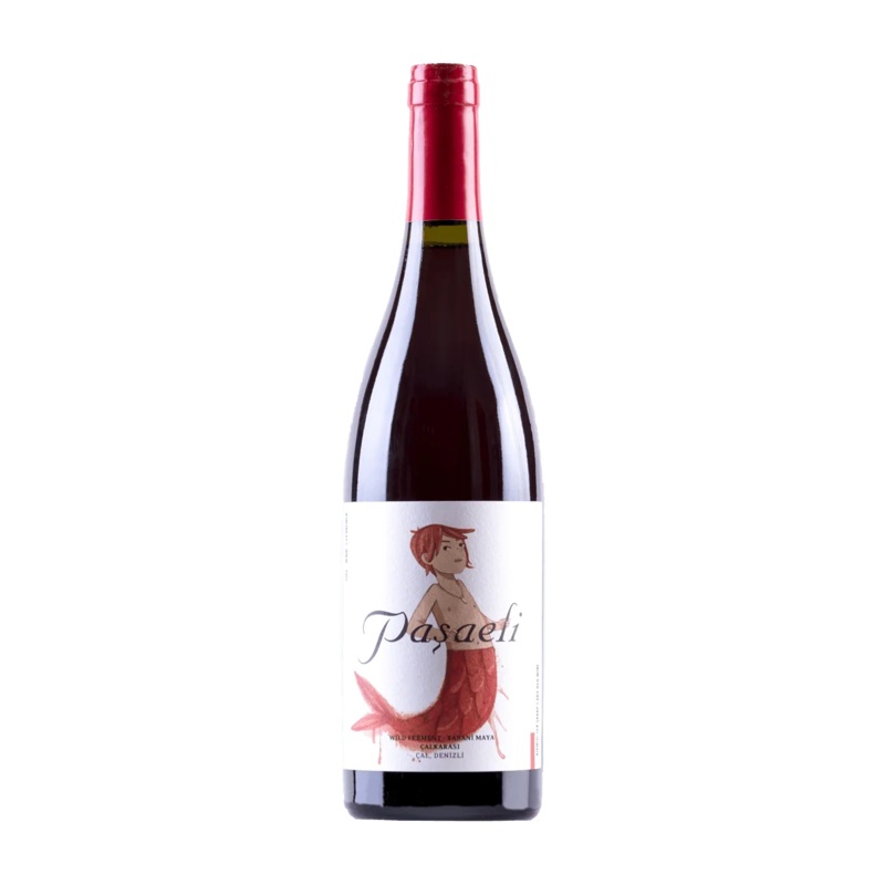 Pasaeli Wild Ferment Calkarasi 2023