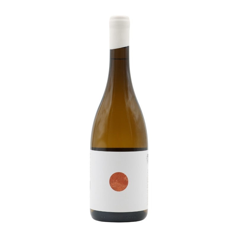Morgado do Quintao Branco de Amphora 2021