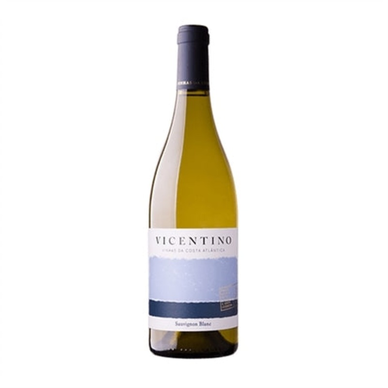 VC Vicentino Sauvignon Blanc 2019