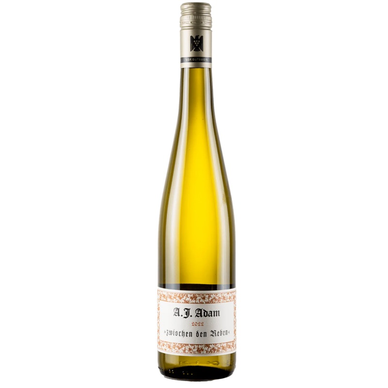 Weingut A.J. Adam Zwischen den Reben 2024
