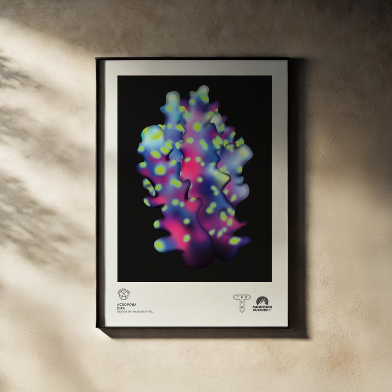 Digital Aus Prints|Acropora A3|Acropora A2|Elysia A3|Elysia A2|Oscilate A3|Oscilate A2