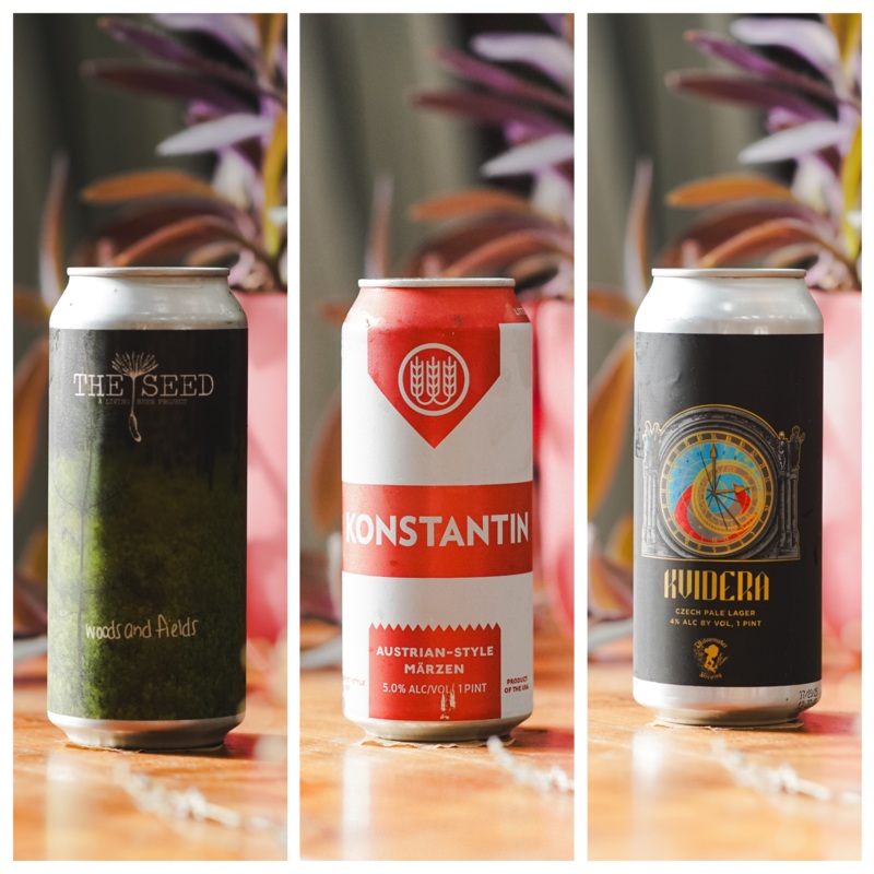 WTTN Lager Mixed 3-pack – Option 2