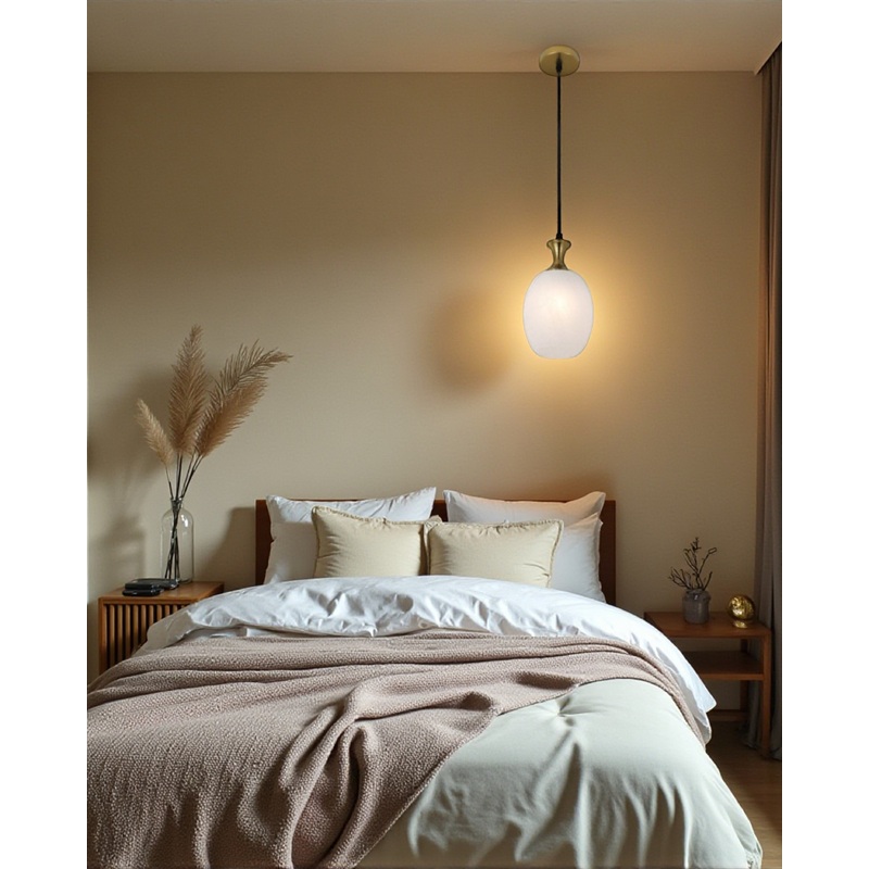 Elegant Frosted Glass Pendant Light
