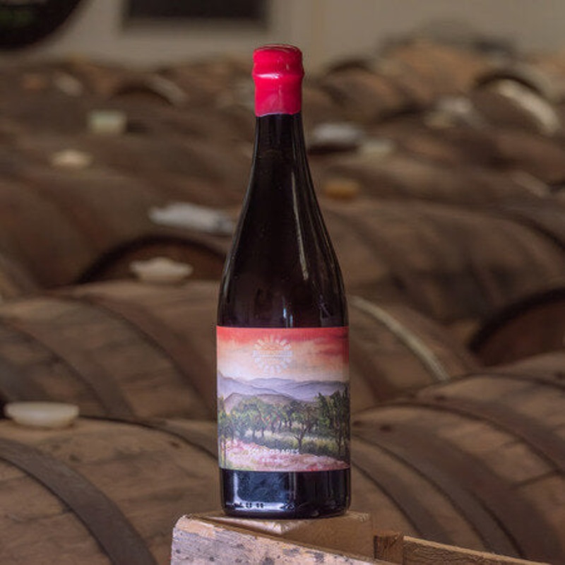 Lovibonds: Sour Grapes|1 x 750ml Bottle