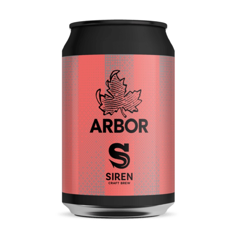 Divisible Invisible|1 x 330ml Can