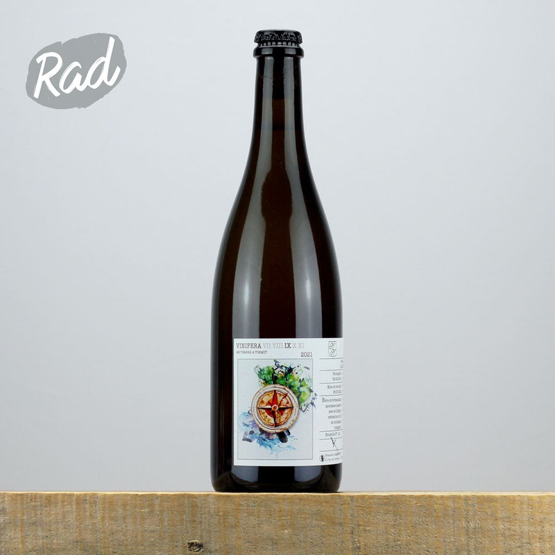 Ammonite Vinifera IX – Aligot