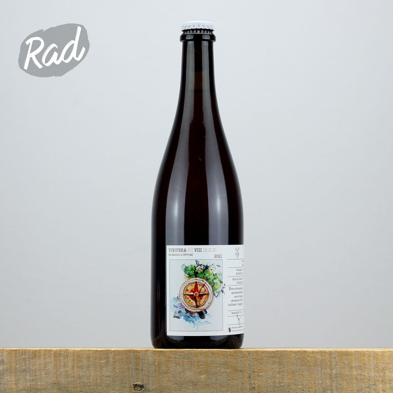 Ammonite Vinifera VIII – Gamay