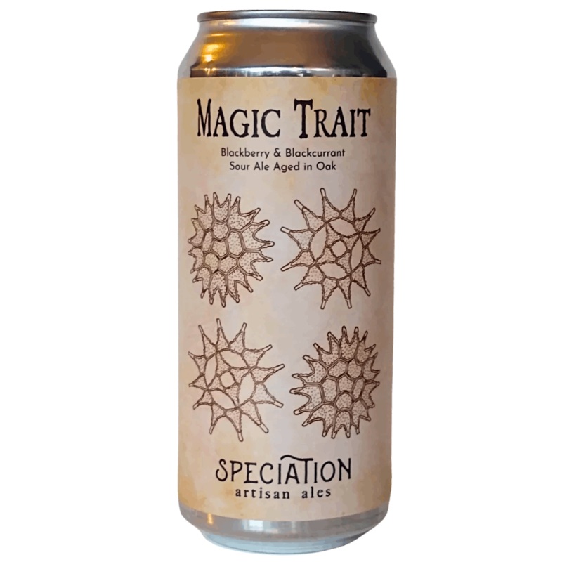 Speciation Magic Trait 2024 Blackberry & Blackcurrant Sour 473ml (8%)