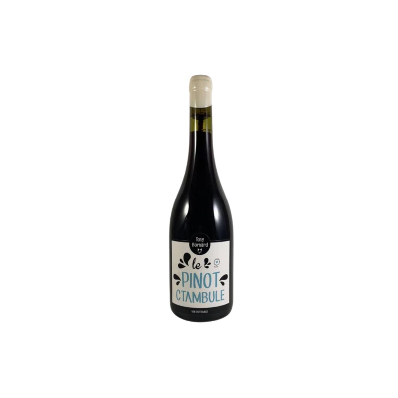 Tony Bornard Le Pinotctambule Jura 2020 150ml