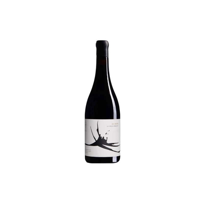 Bodega Jesus Romero Rubus La Vina de Baguena 2023