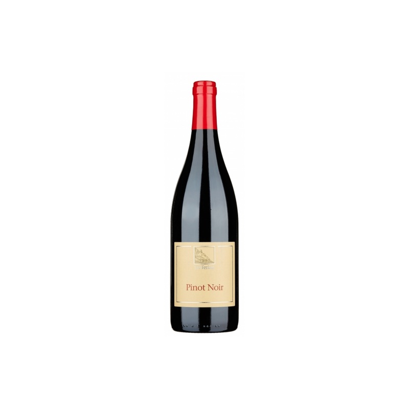 Terlan (Terlano) Tradition Pinot Noir Sudtirol – Alto Adige 2023
