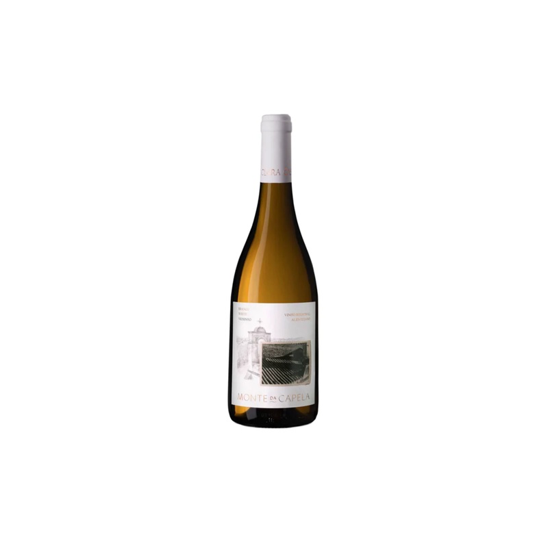 Casa Clara Monte da Capela Viosinho Branco Alentejo 2019