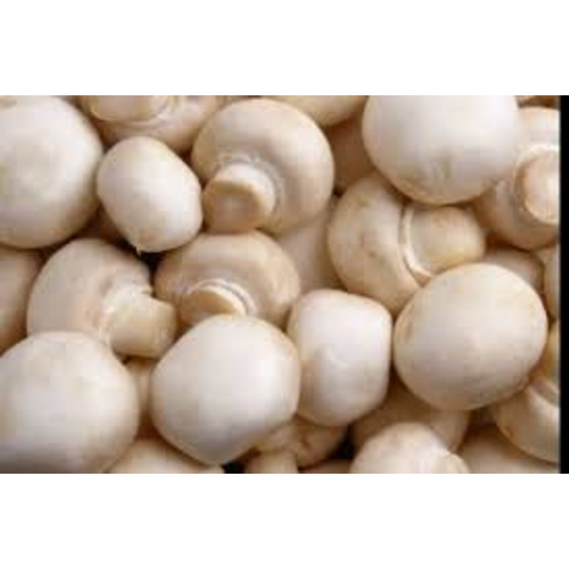 MUSHROOM, LOCAL  (by the pound)