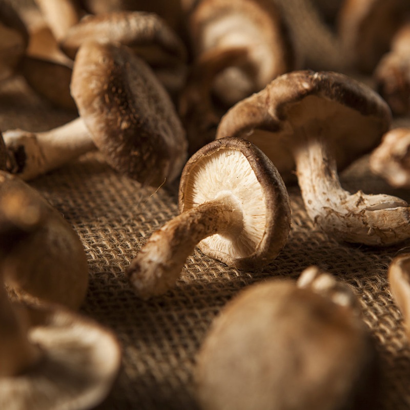MUSHROOMS SHITAKI  (by the pound)