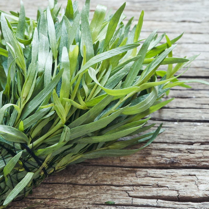 TARRAGON  (by the each)