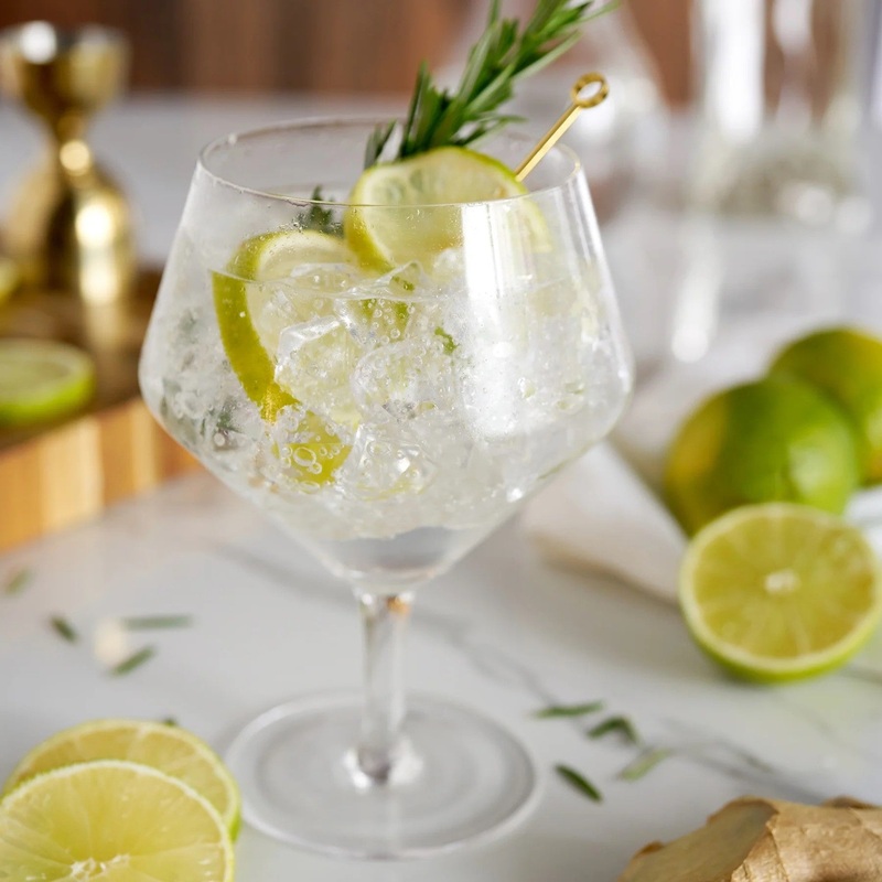 VISKI GIN & TONIC GLASSES