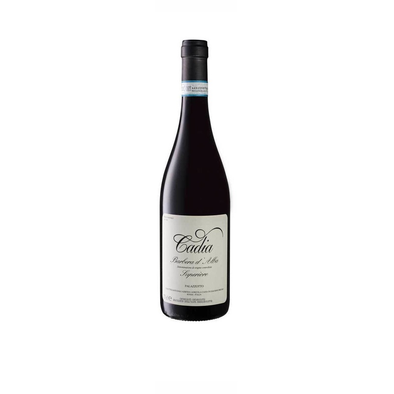 2021/22 Barbera d’Alba Palazzotto, Cadia, Piemonte