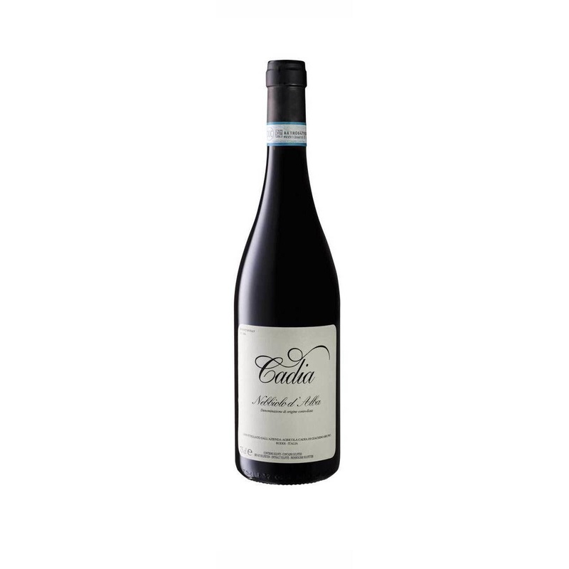 2022 Nebbiolo d’Alba, Cadia, Piemonte