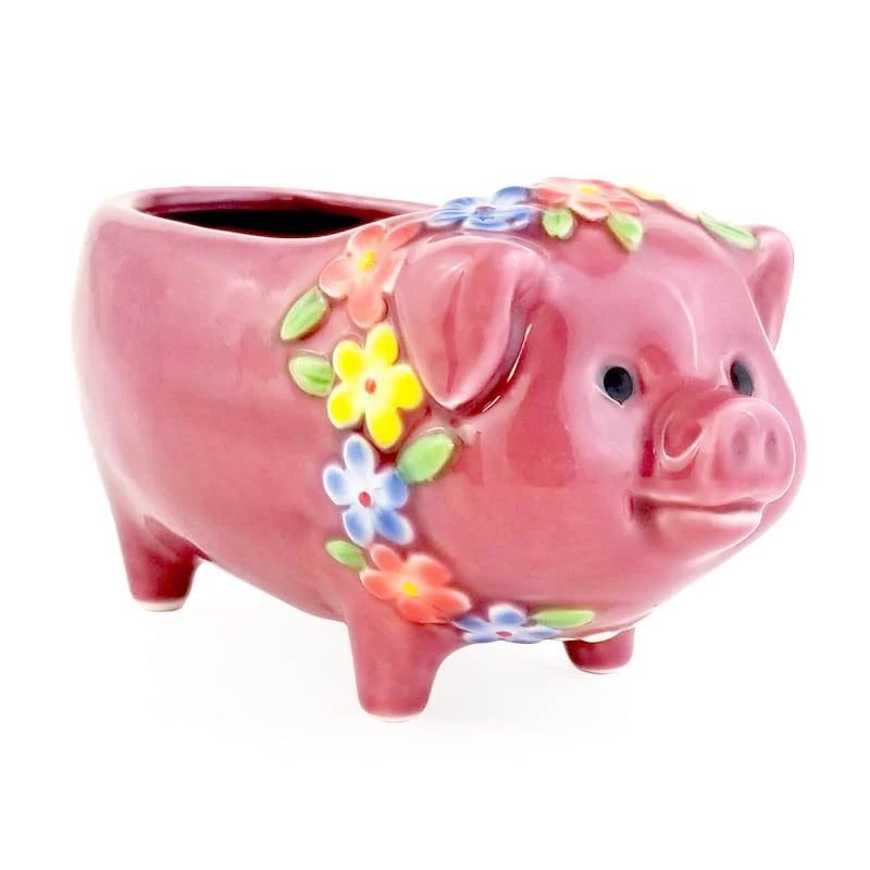 Pink Piggy
