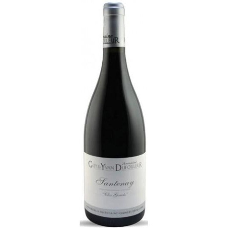 2022 Santenay Rouge Clos Genets, Dom. Guy & Yvan Dufouleur
