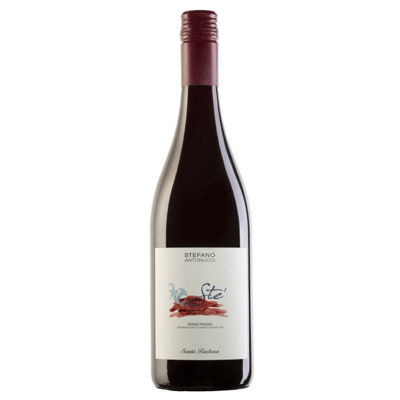 STEFANO ANTONUCCI St Rosso Piceno 2023