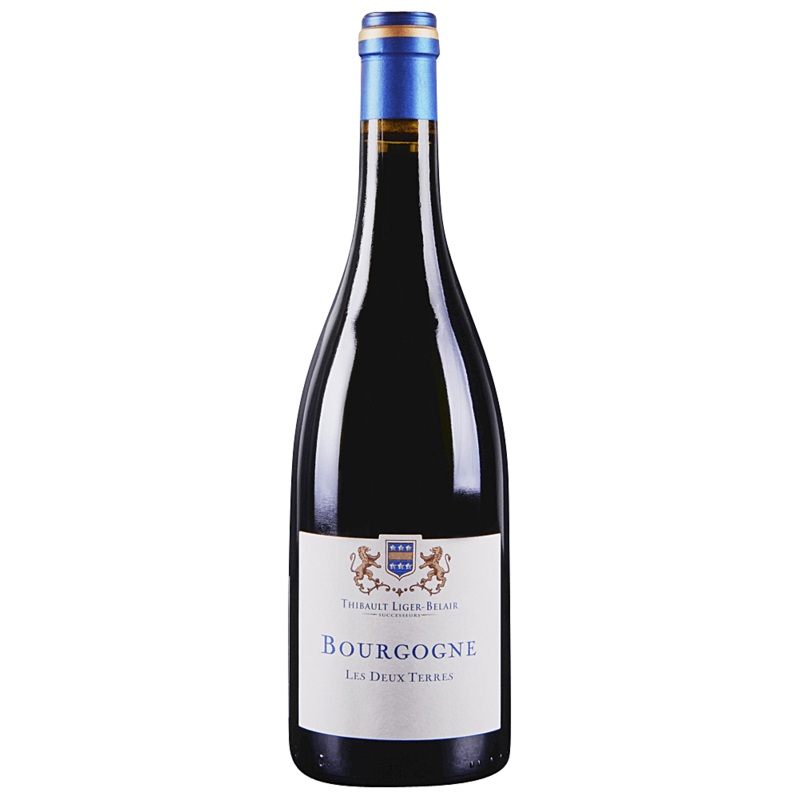 THIBAULT LIGER BELAIR Les Deux Terres Bourgogne Gamay 2021