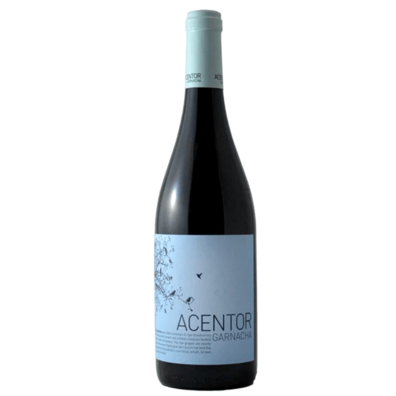 Isaac Fernandez Seleccion Acentor Garnacha