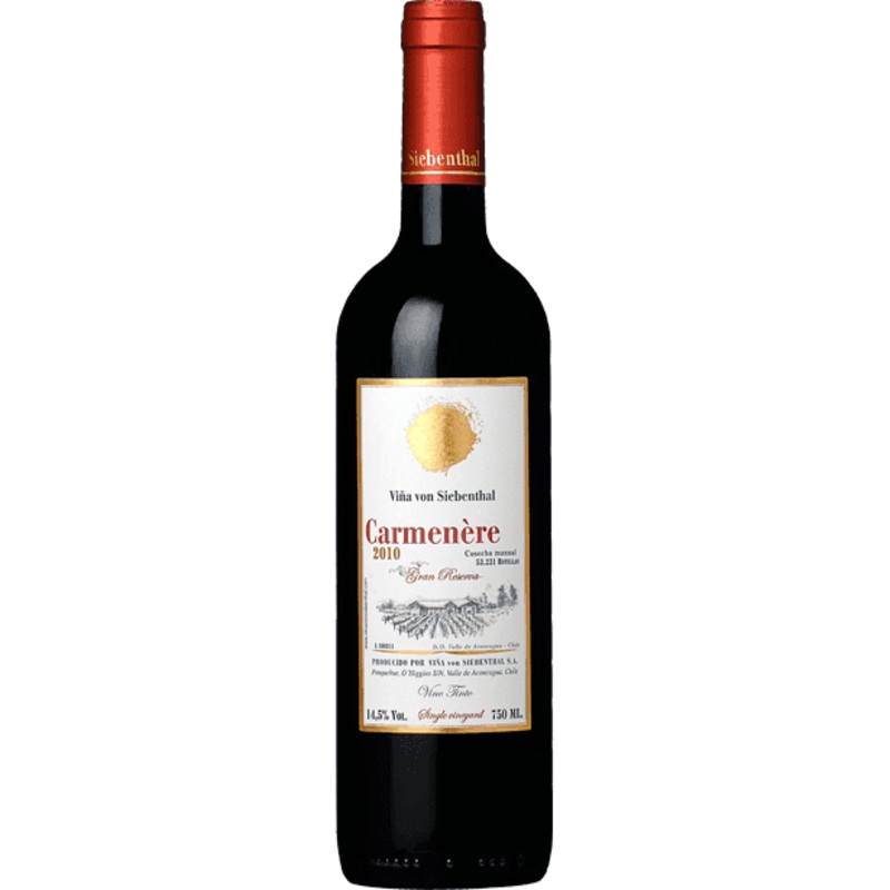 Vina von Siebenthal Carmenre 2019