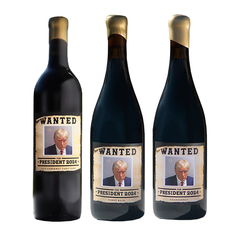 Wanted For President 2024 Mixed 6 Pack