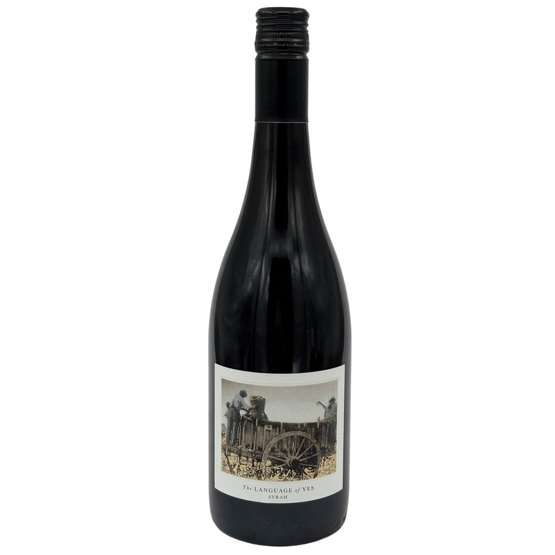 The Language of Yes 2022 Syrah Santa Maria Valley